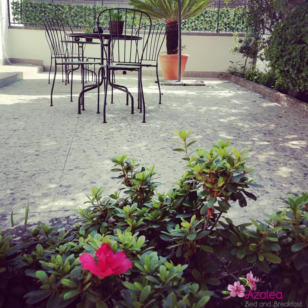 Azalea B&B Nápoles Exterior foto